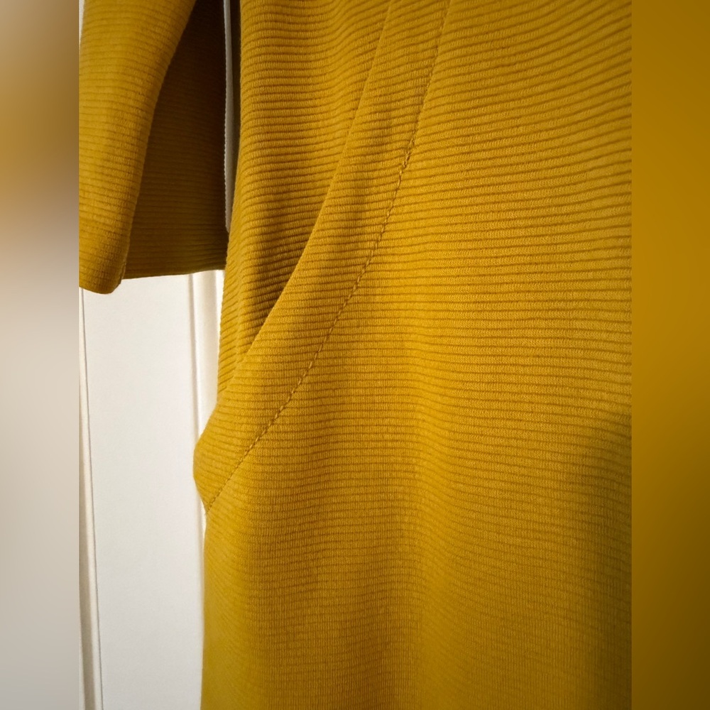 Boden Ottoman Shift Dress - Picture 4 of 14